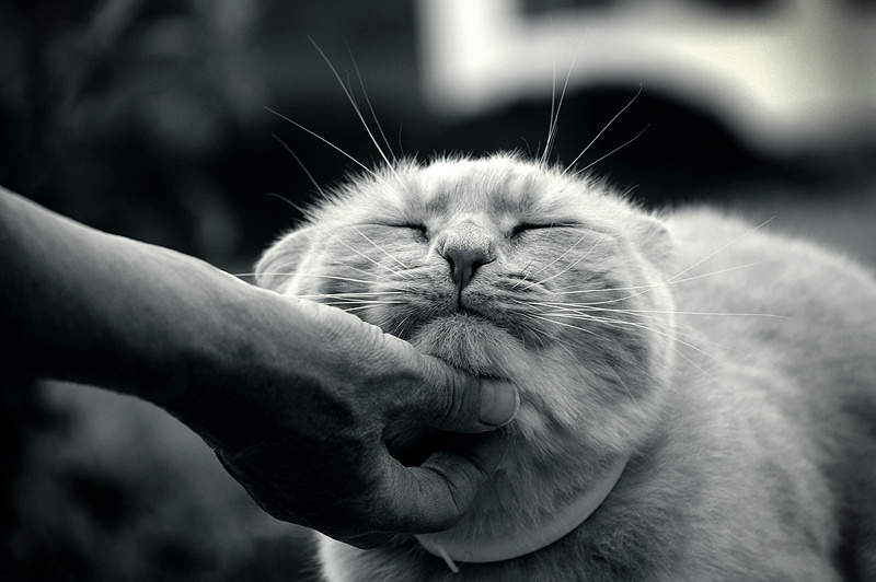Puro Amor :)