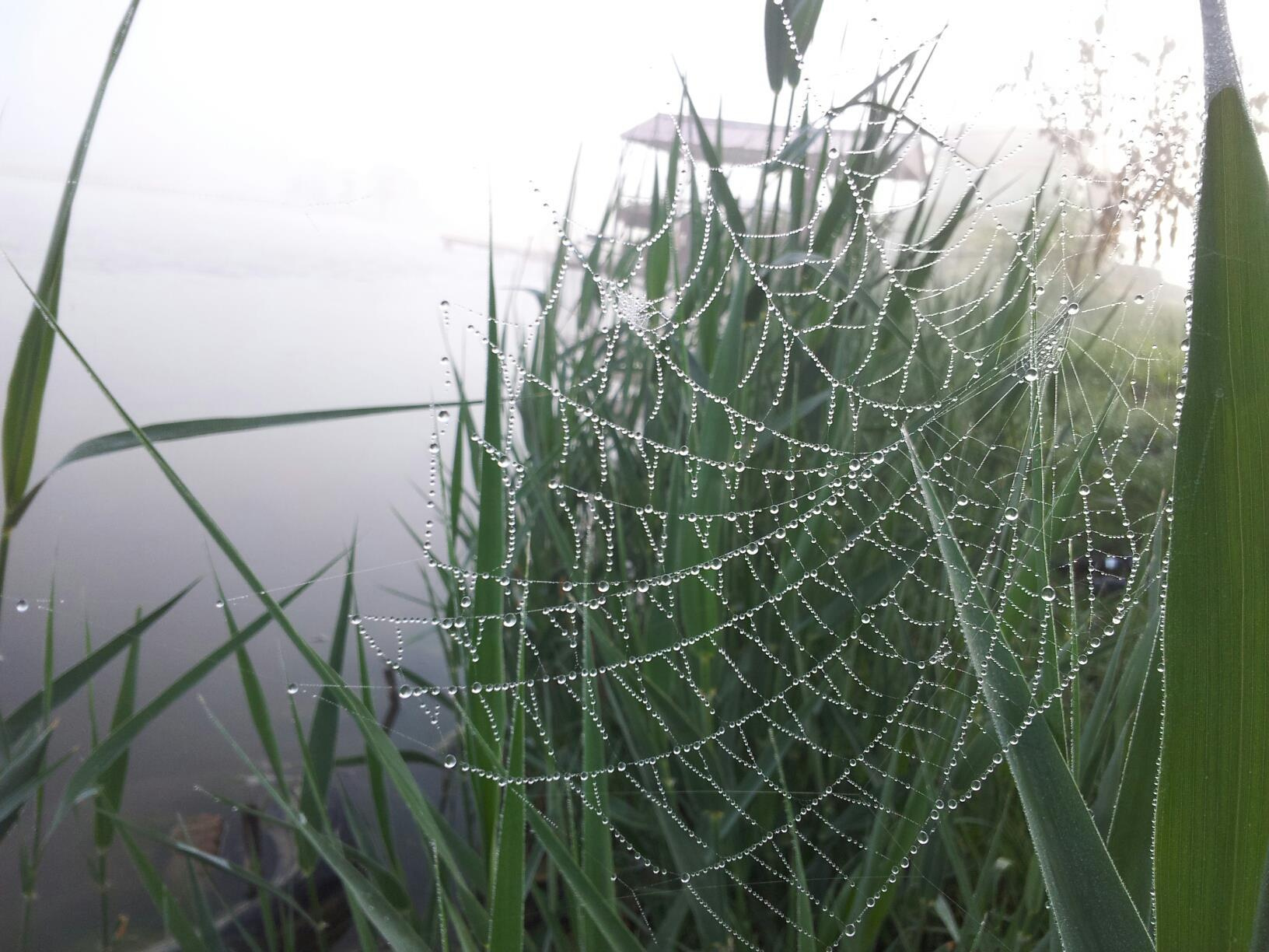 Утро в Ессентуках 