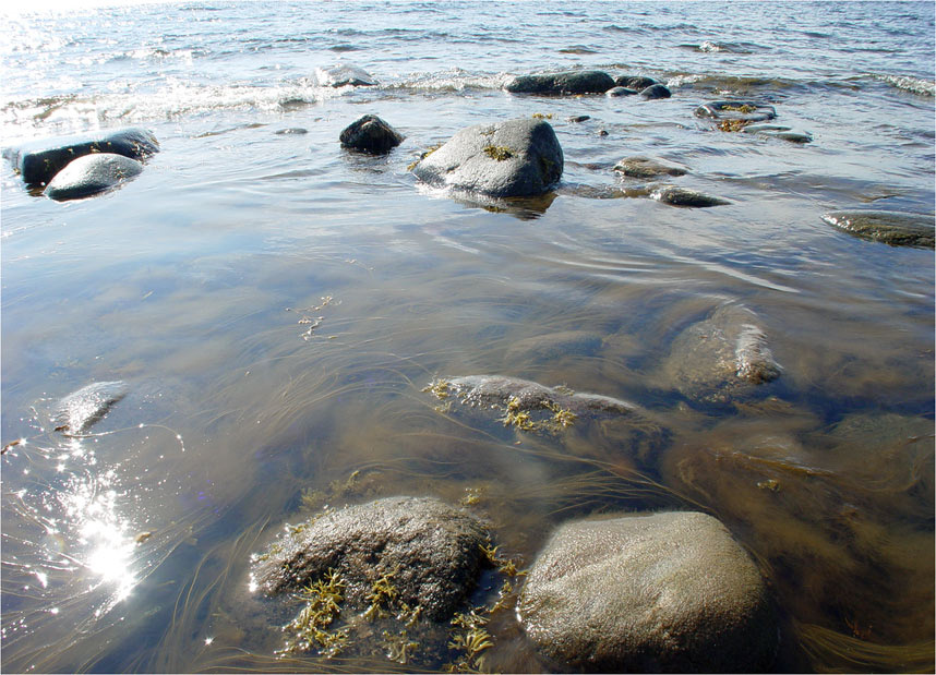 белое море 