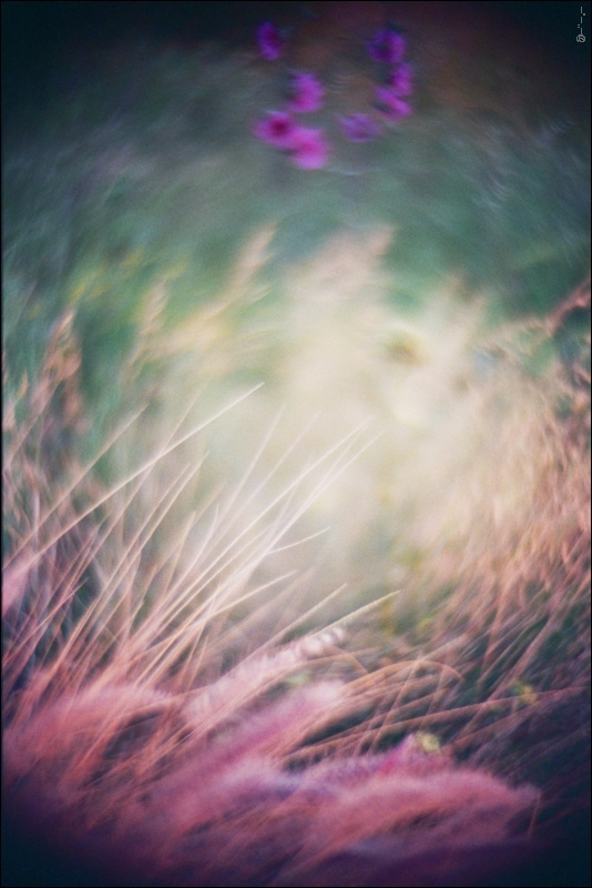 *** _twirlings_