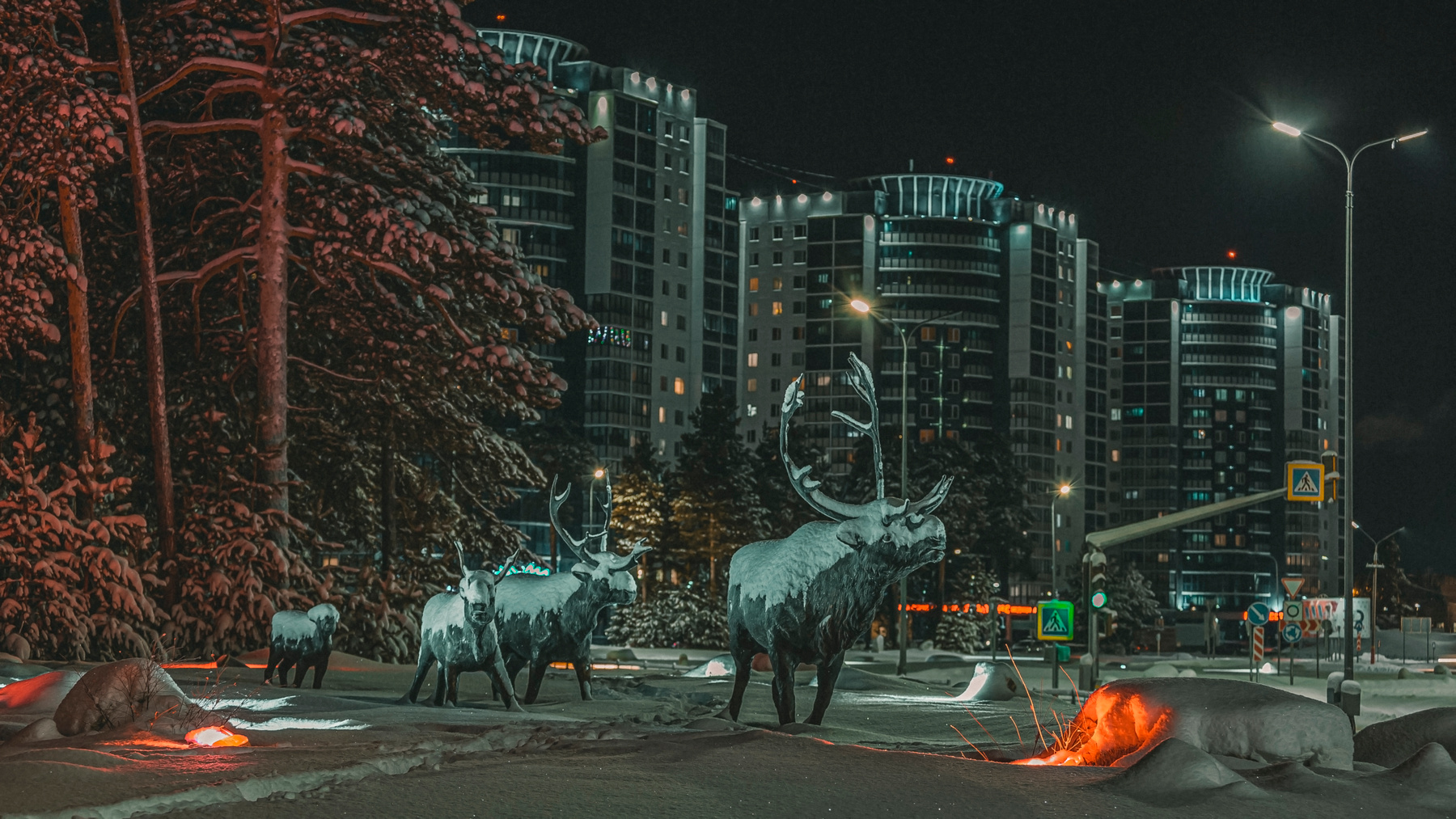 На встречу солнцу 