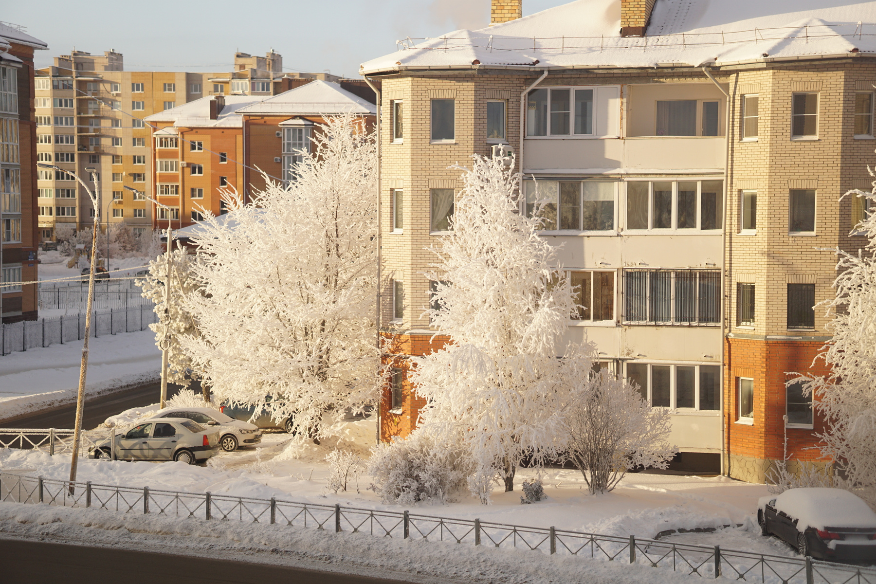 winter feelings 