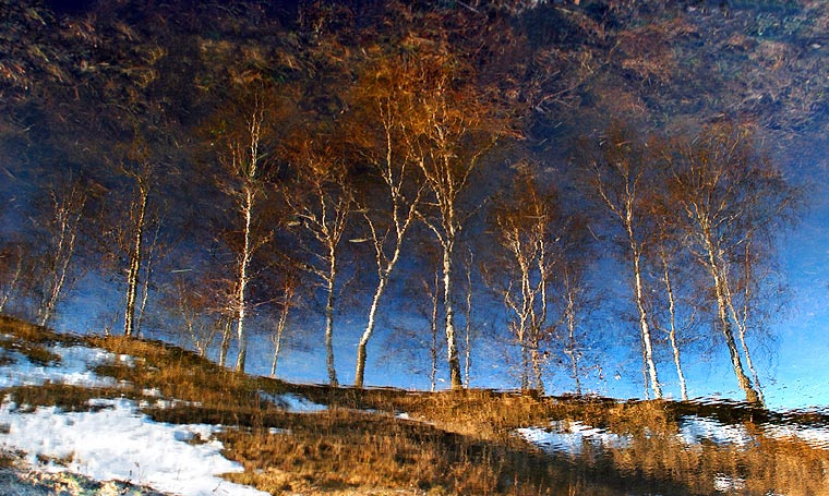 пришла весна(нереальное отражение реальности) 