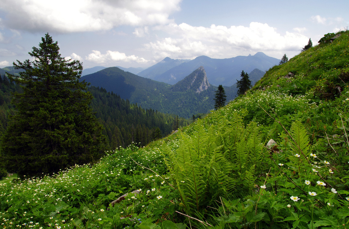 Alps Alps, горы, Альпы