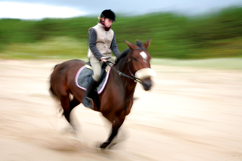 speed 