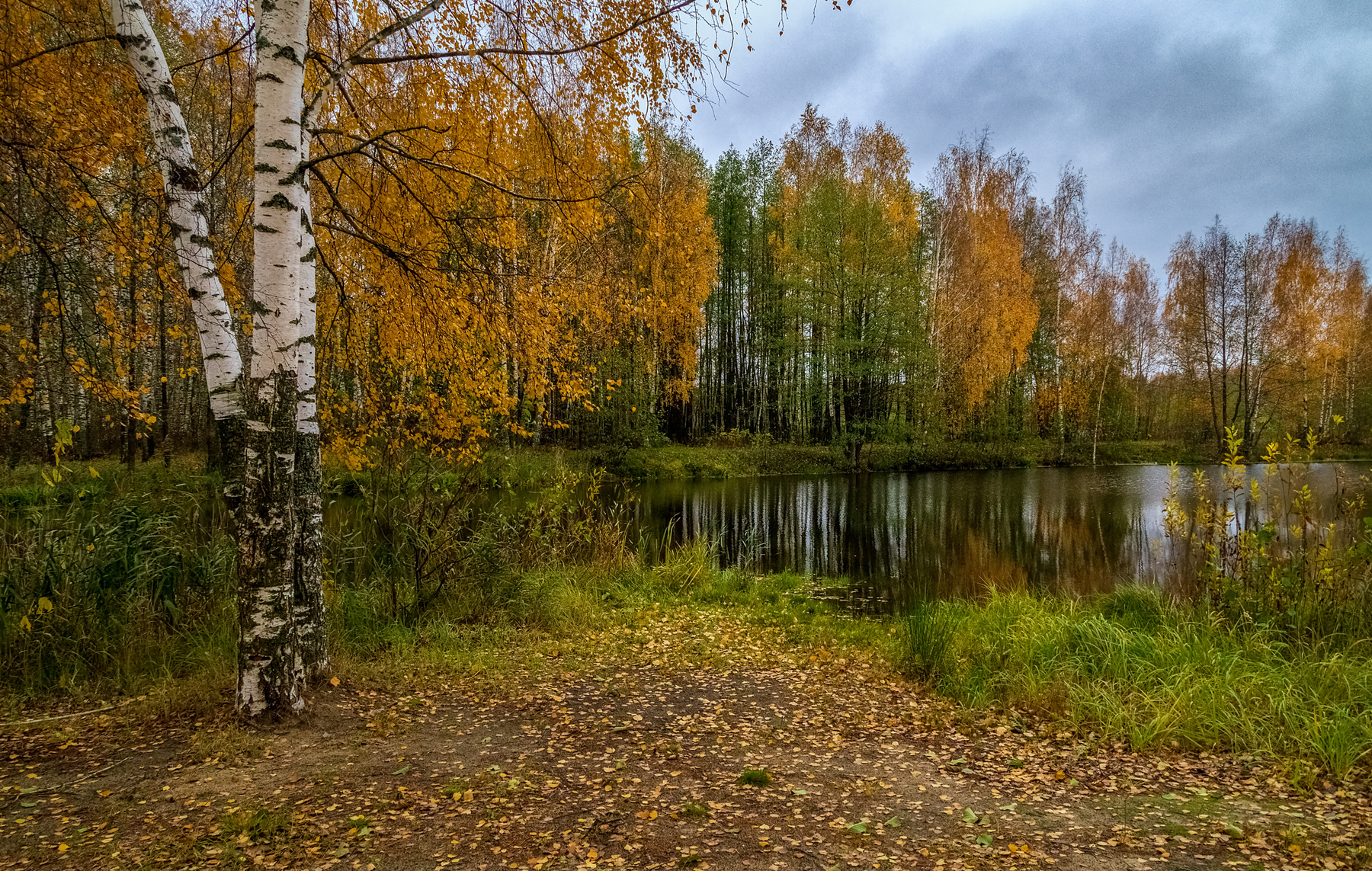 Осень, Октябрь, утро # 05 
