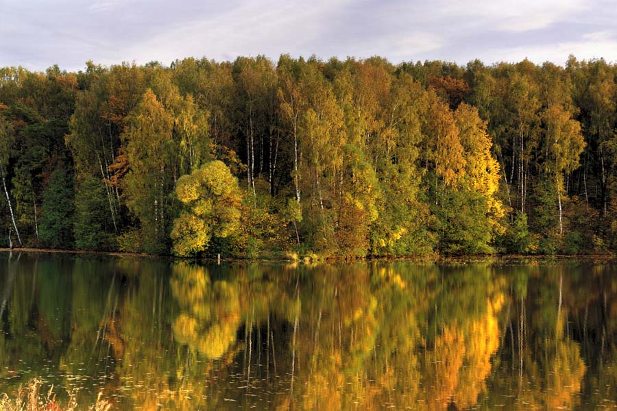 Осенний пейзаж осень лес озеро