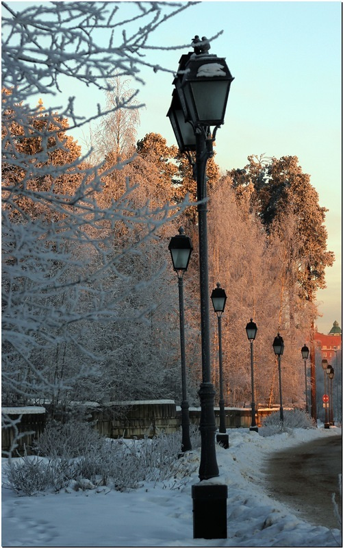 морозное утро зима