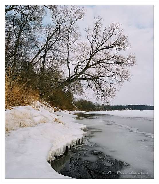 *** река, весна