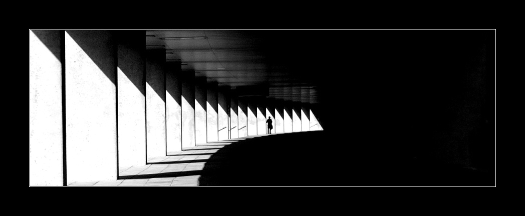 Свет  и  тень 2 Rotterdam  Holland