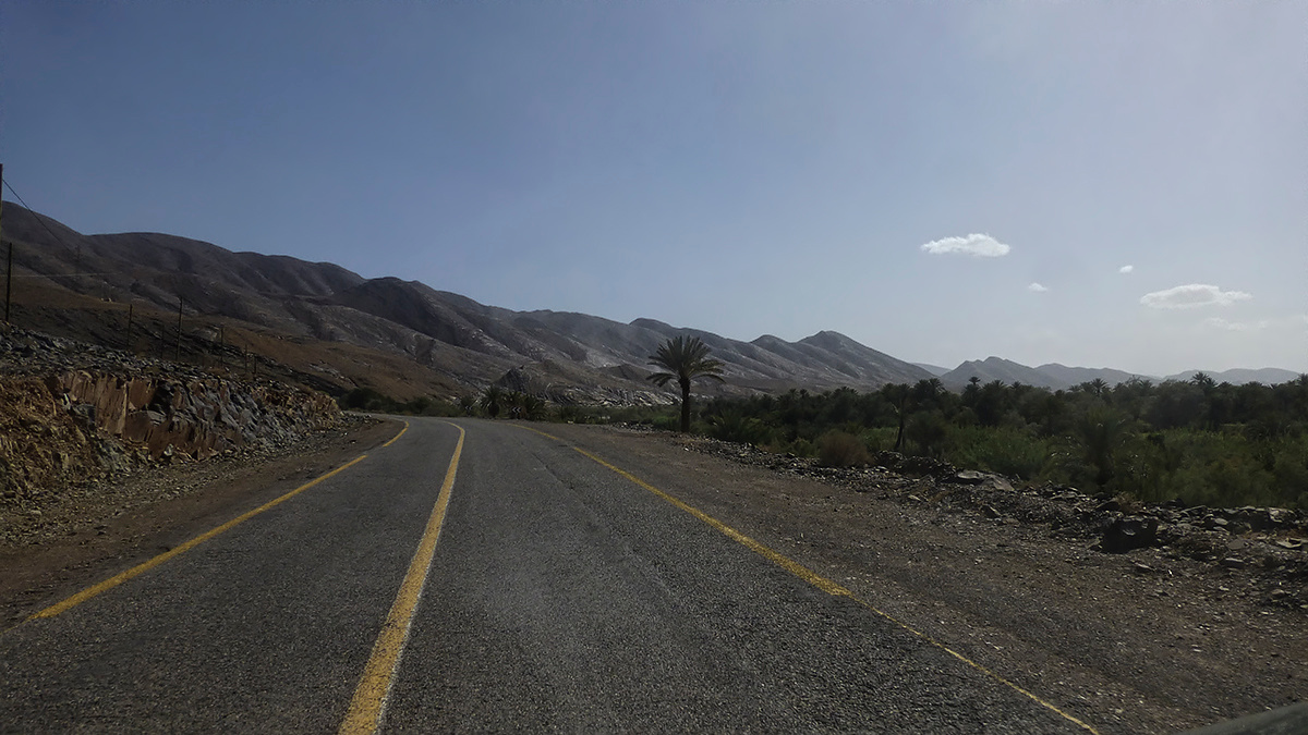 пальма и горы Марокко Morocco по дороге на Агдз Agdz горы пальма