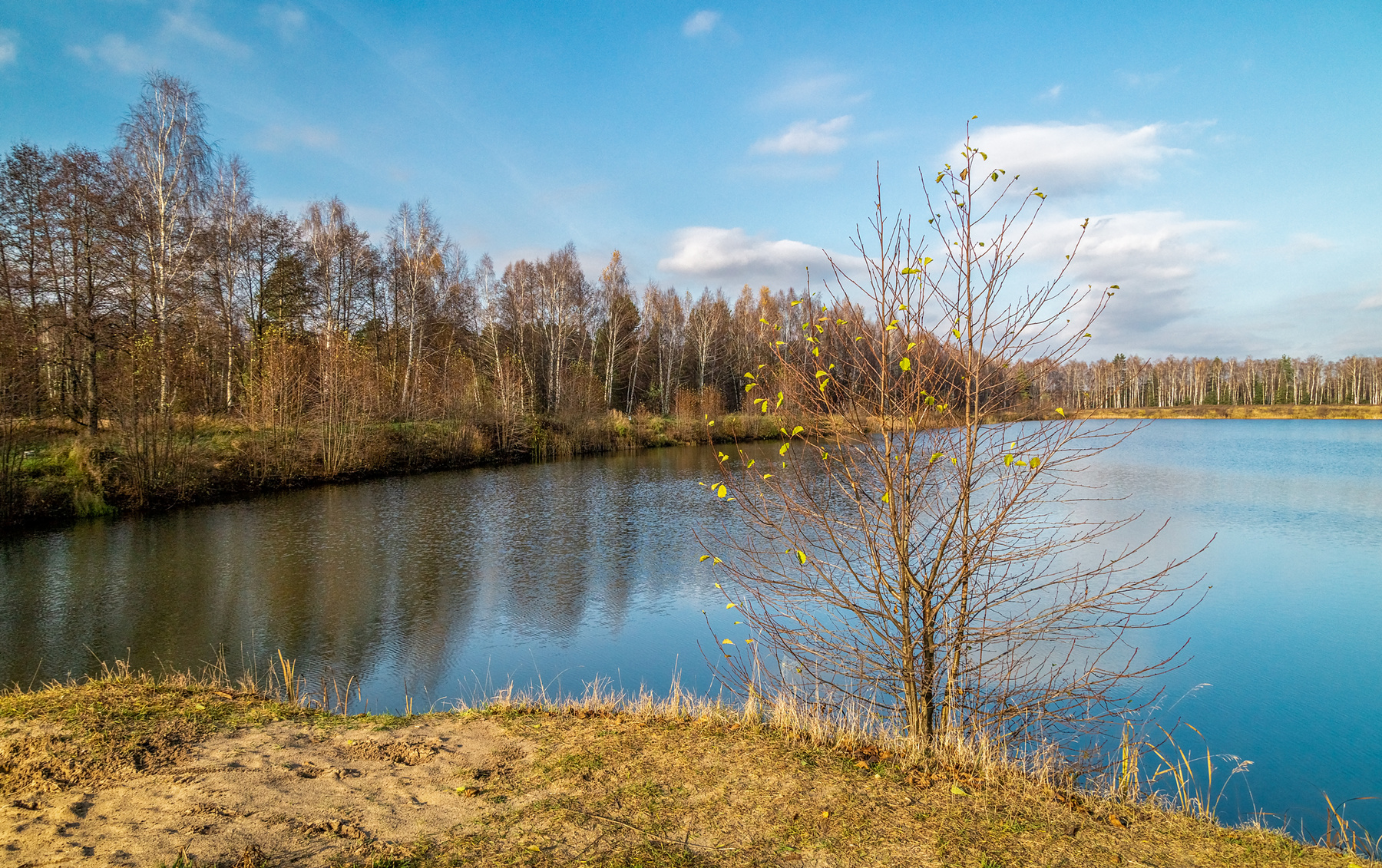 Осень не сдаётся 