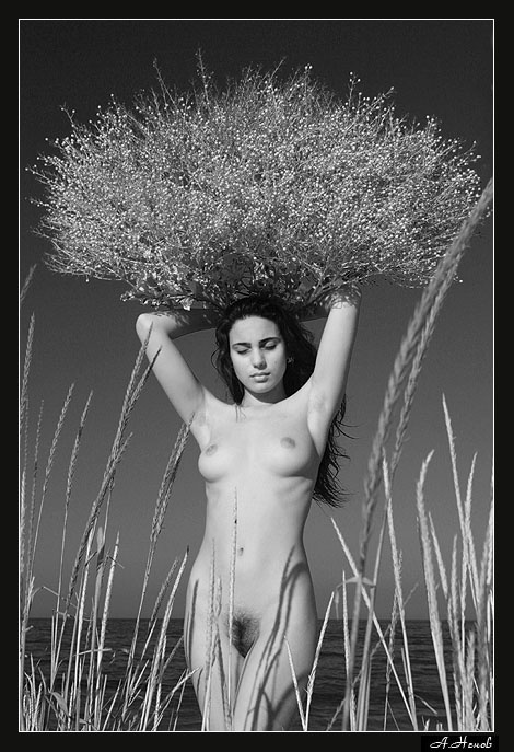 The end of summer nudes