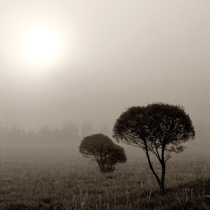 ... solnce tuman dvoye
