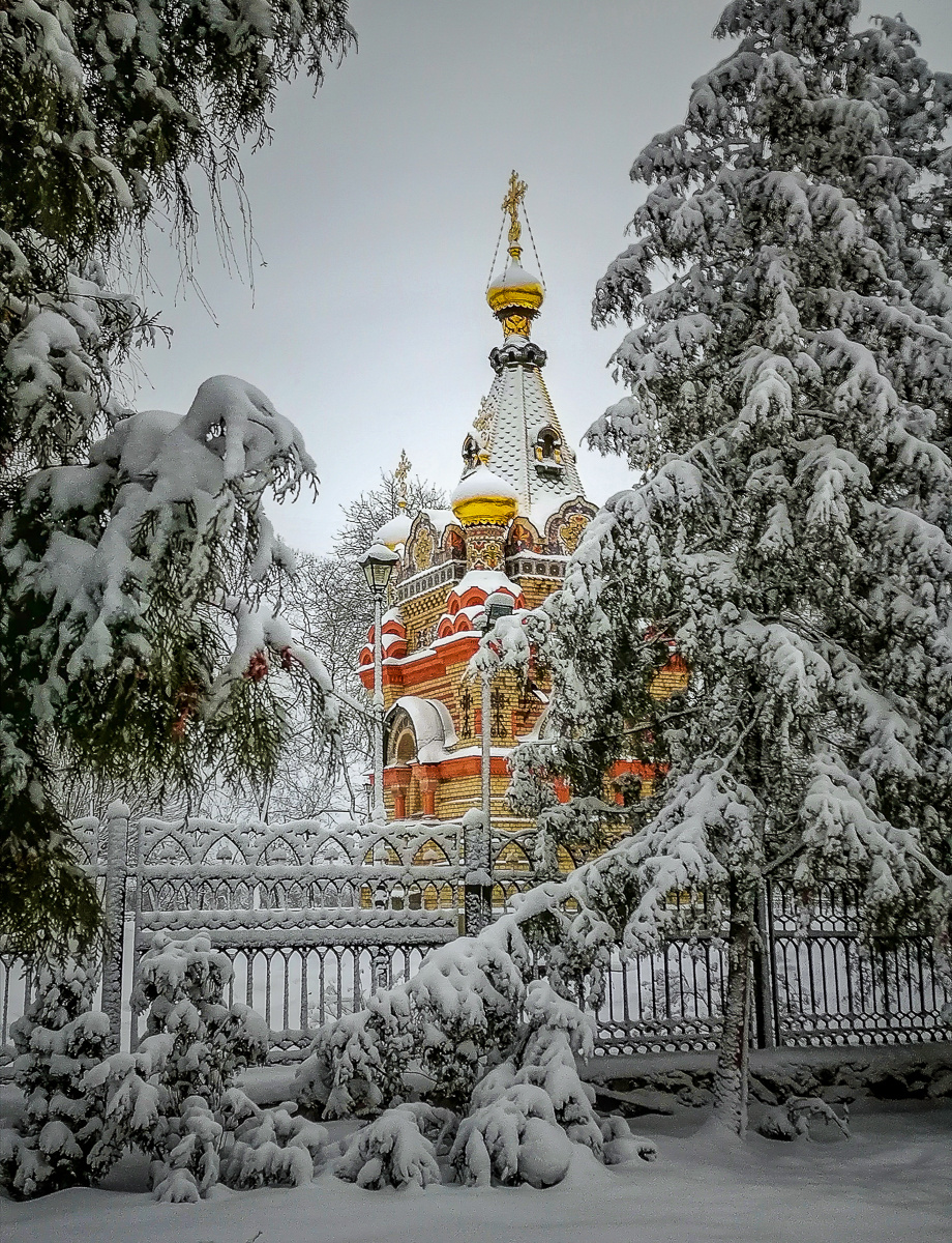 В зимнем парке 