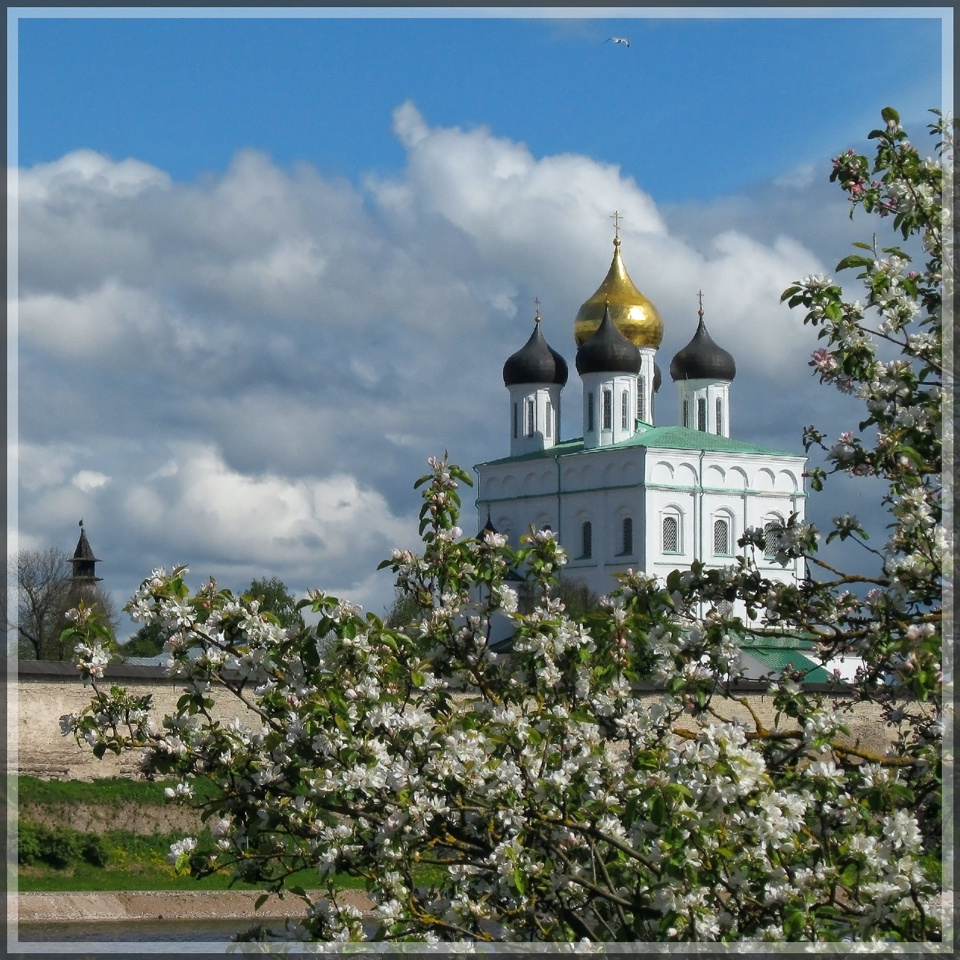 Троицкий собор Псков Троицкий собор