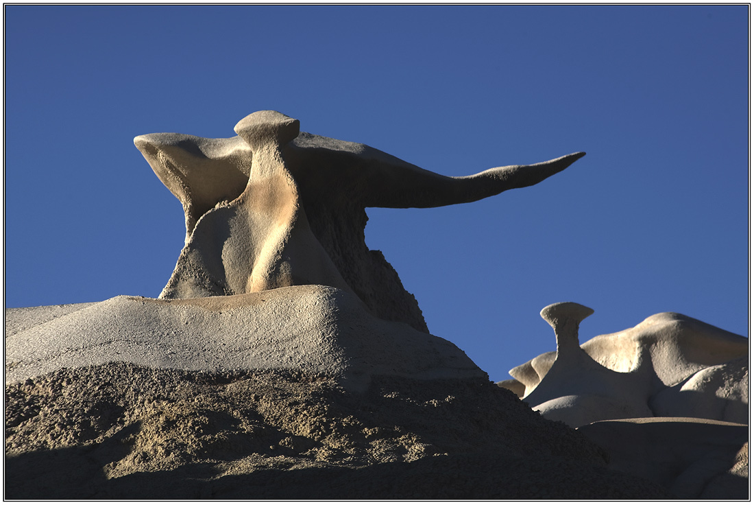 Bisti Badlands. Кто живет в Bisti? Bisti Badlands