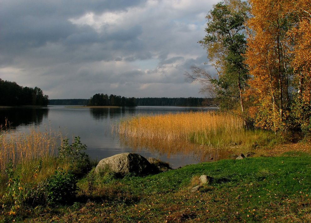 Вот и осень Осень,берег Вуоксы.