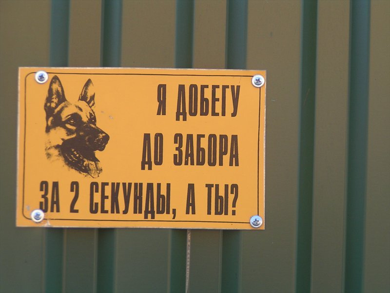 Во дворе злая собака..... 