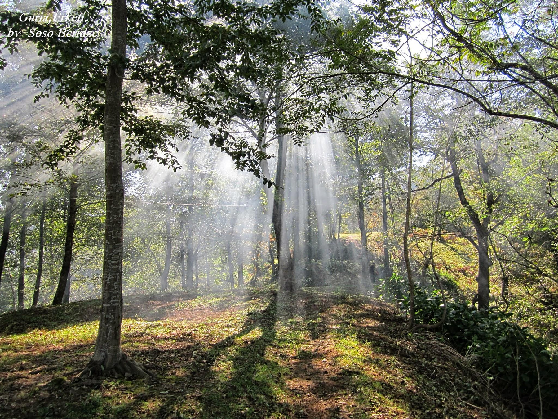 guria Кавказ Туризм Гурия  Travel Guria Georgia Nature Travel Guria Georgia Nature Erketi Chokhatauri Грузия Природа Отдых
