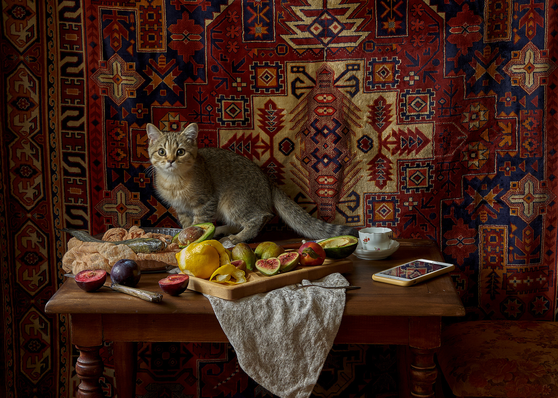 Натюрморт с котиком  и забытым гаджетом. 