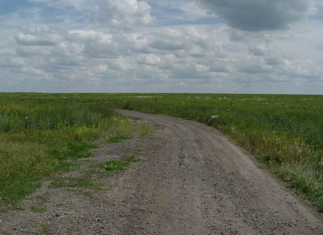 Дорога жизни дорога небо поле