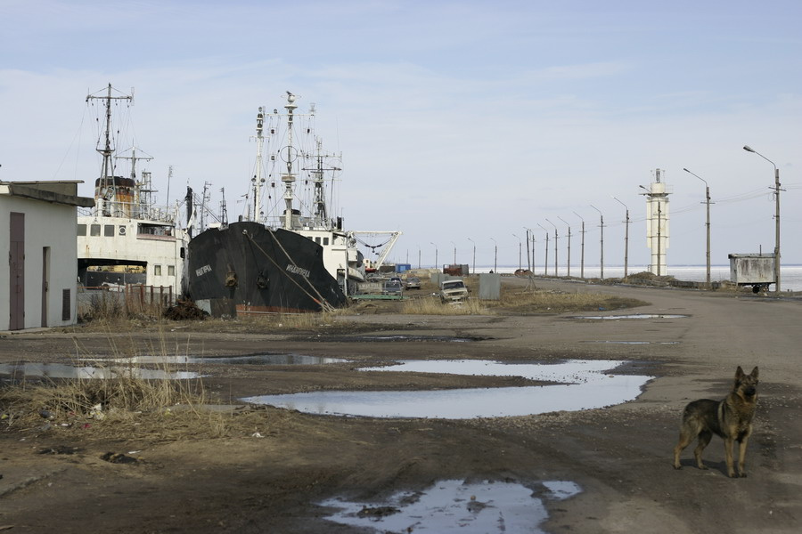 весна в порту корабли, лужи, собака, весна