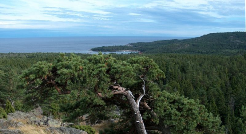 о. Гогланд море остров горизонт