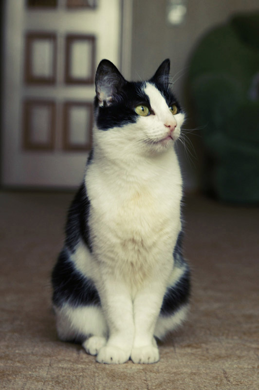 Max 
