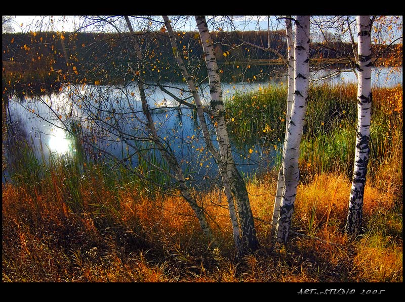 Золотая осень осень пейзаж