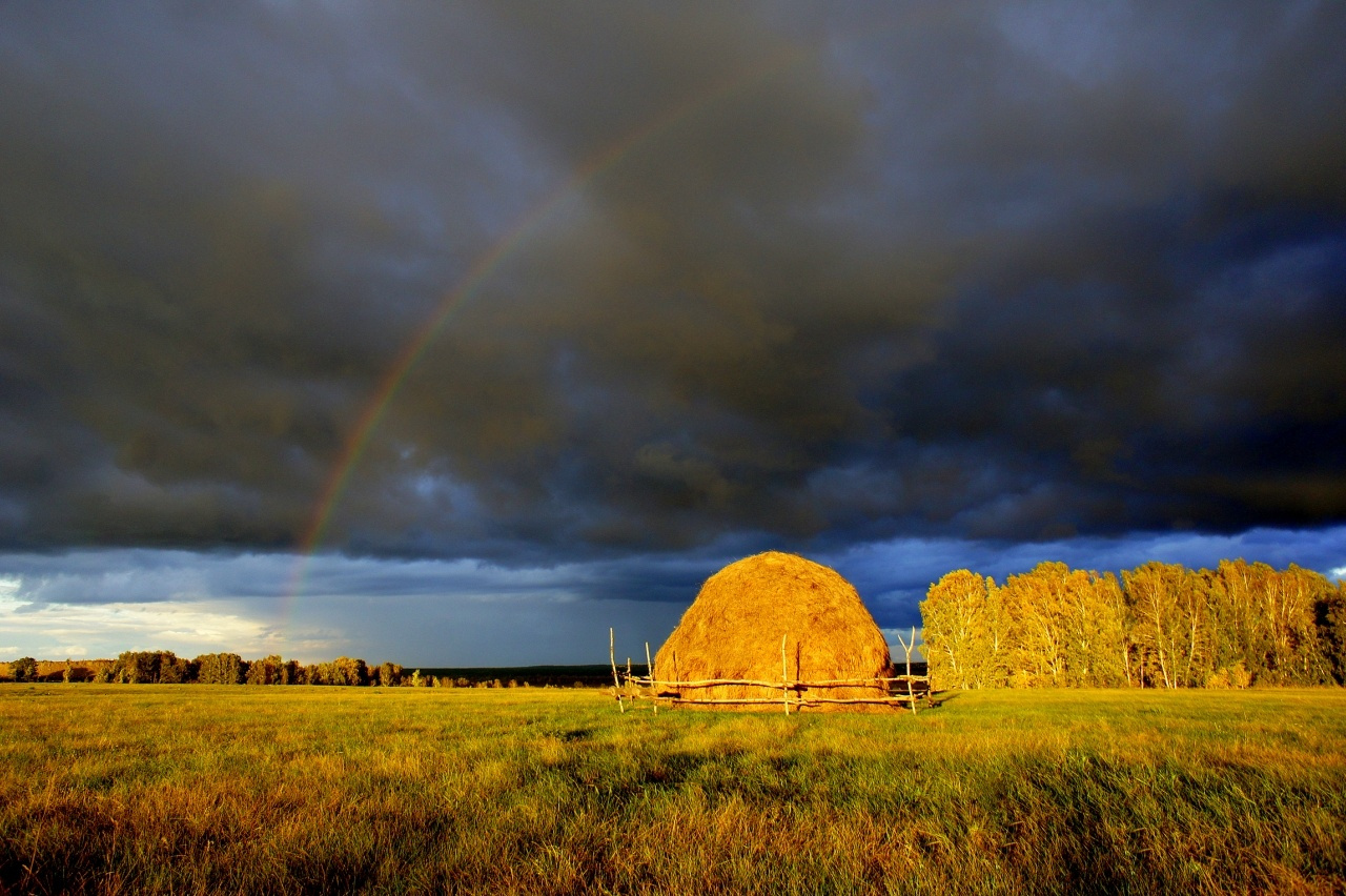 Радуга. радуга,красота,природа,осень