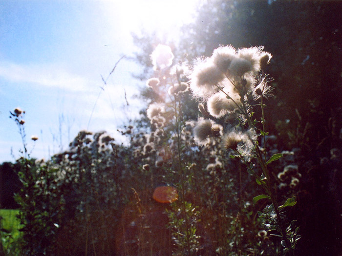 the end of the summer 