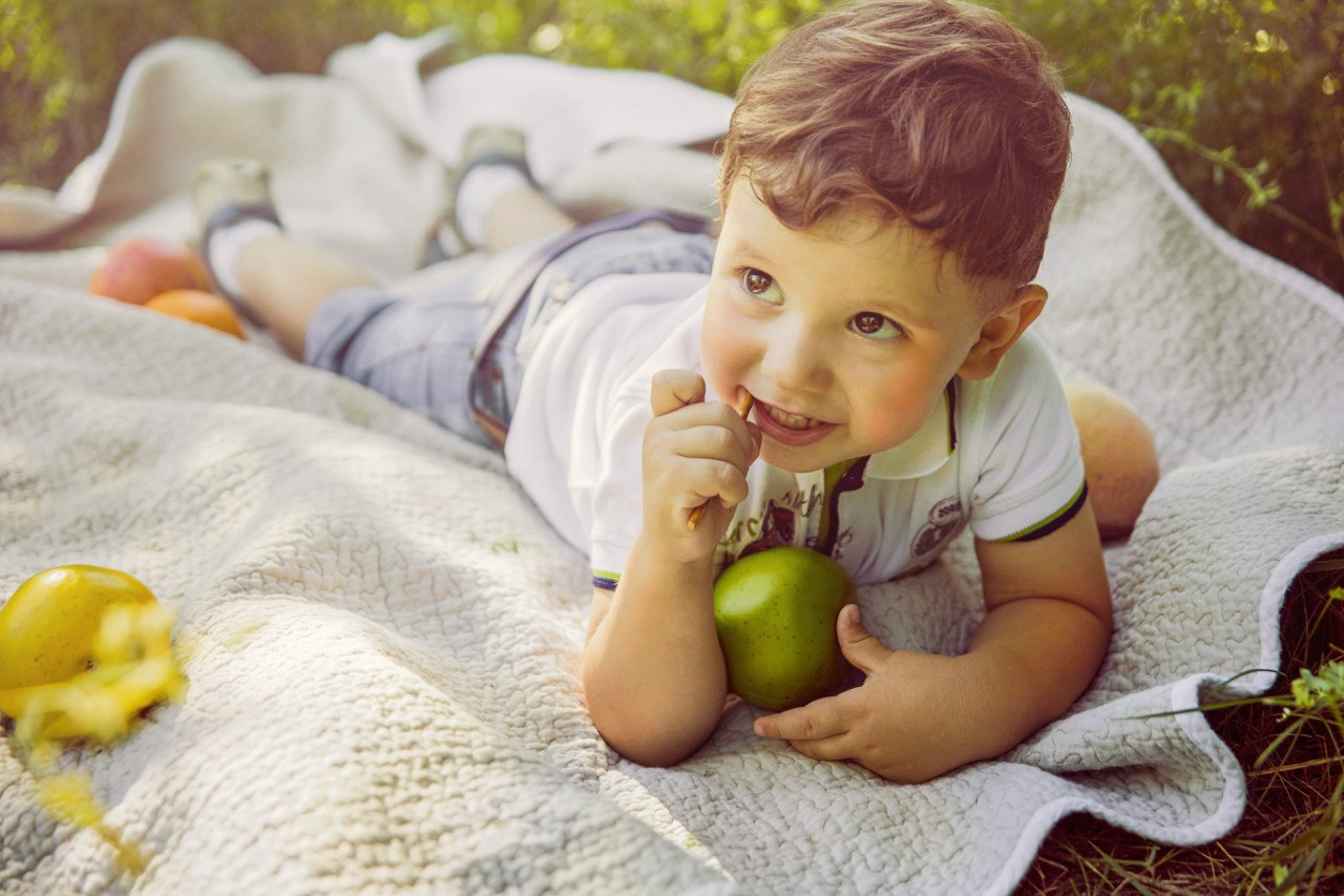 Picnic 