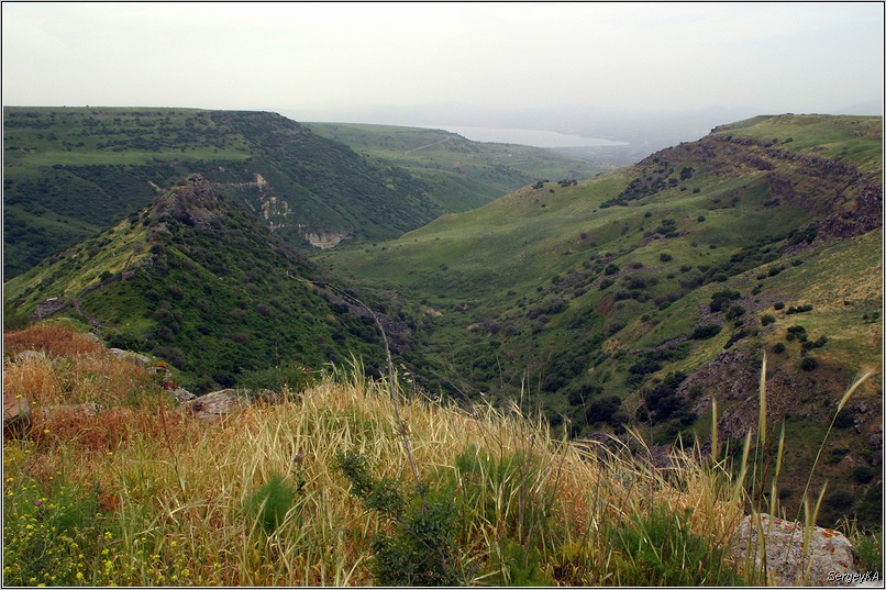 Заповедник Гамла 