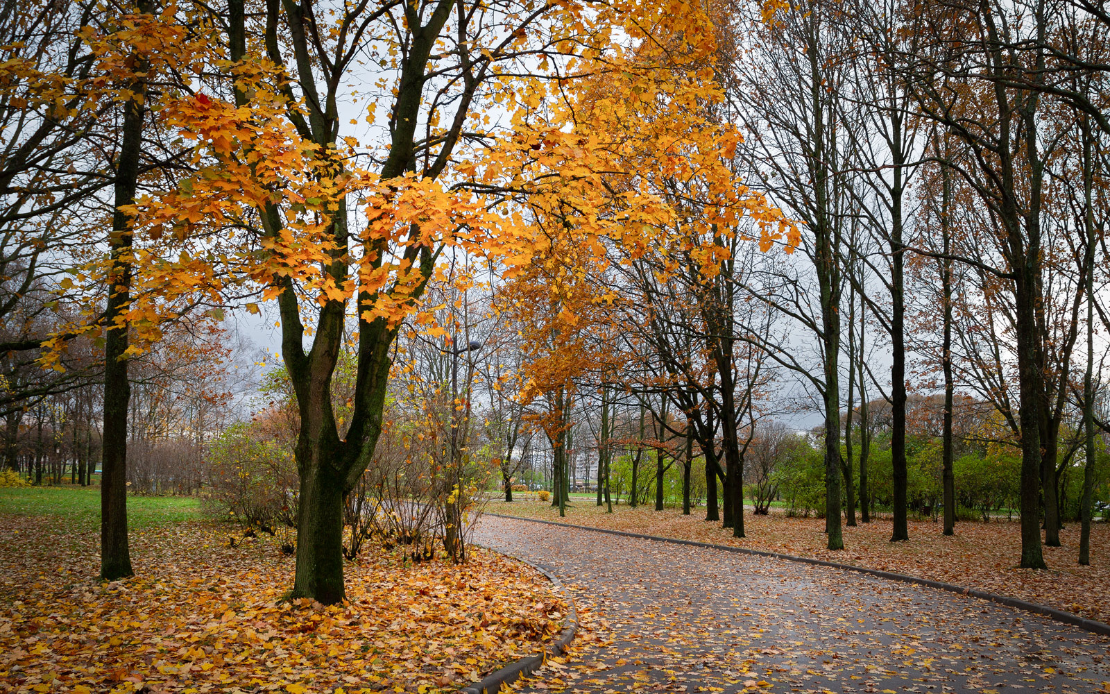 В осеннем парке... парк осень