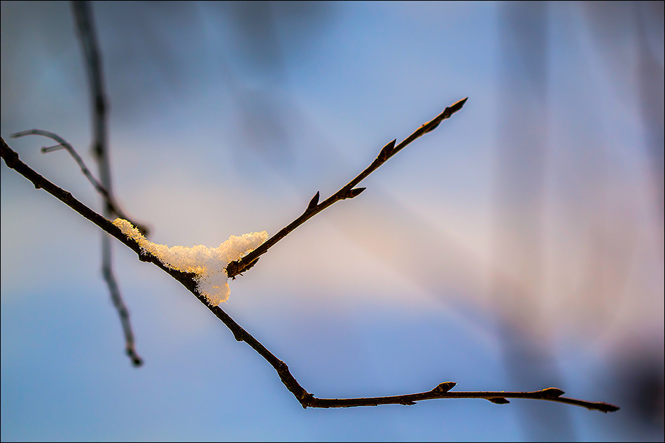 *** природа