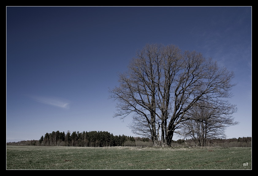 Estonia. nowhere to run