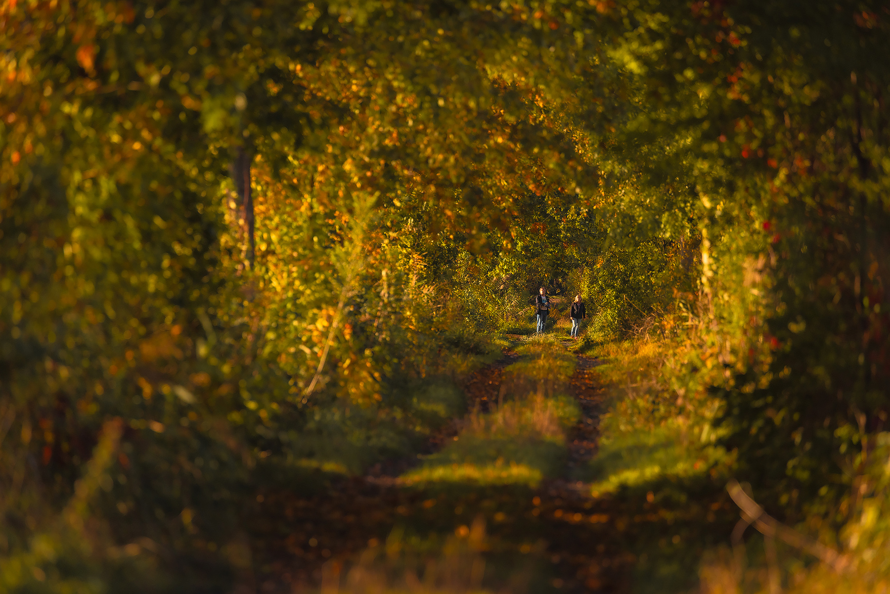 Autumn 