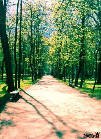 посидеть, пивка попить... лавка петергофф