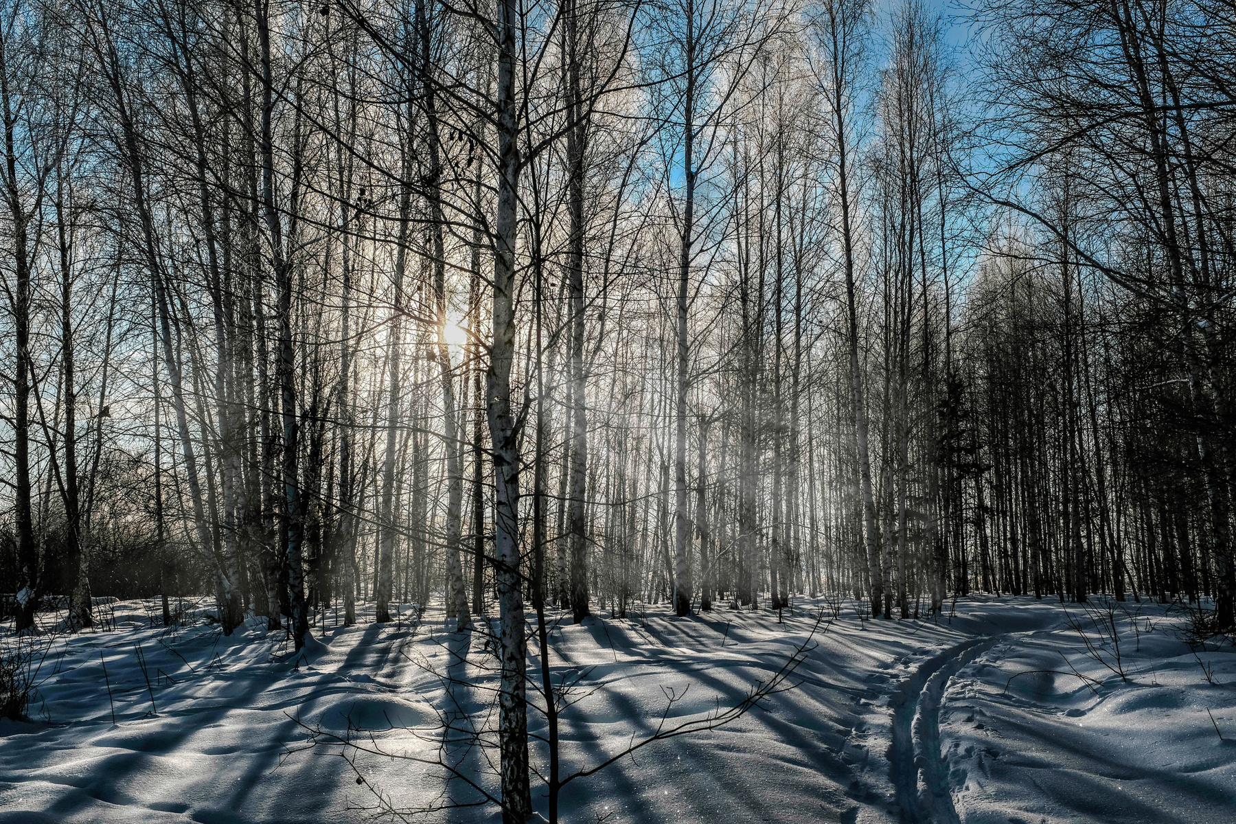 Природа под снегом зима лес природа солнце мороз сибирь