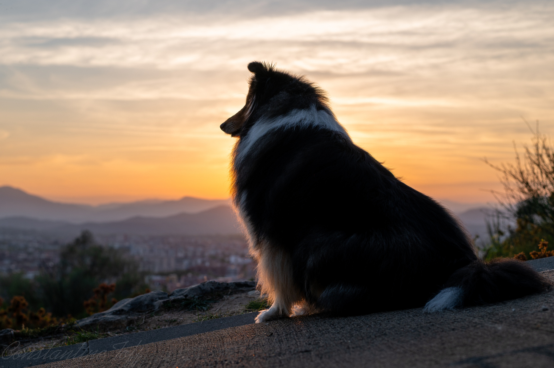 Au coucher du soleil 