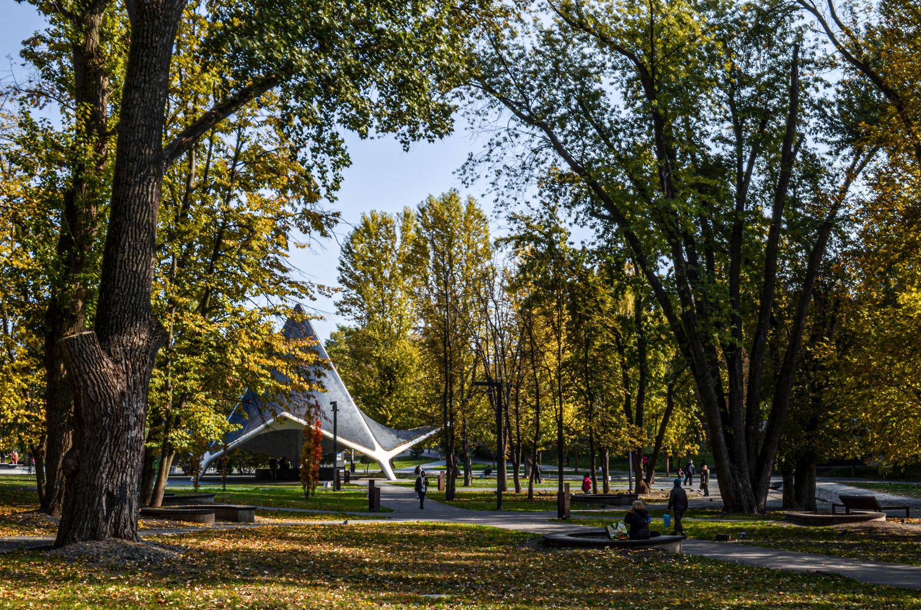 *** осень