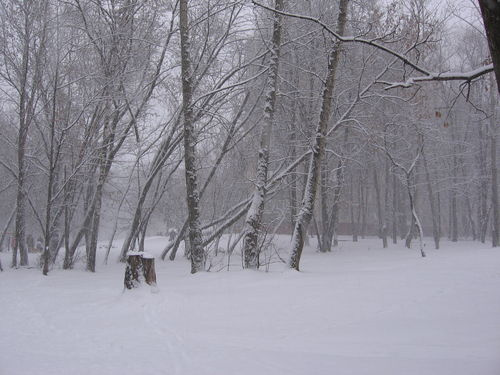 Зима-2007 снег зима