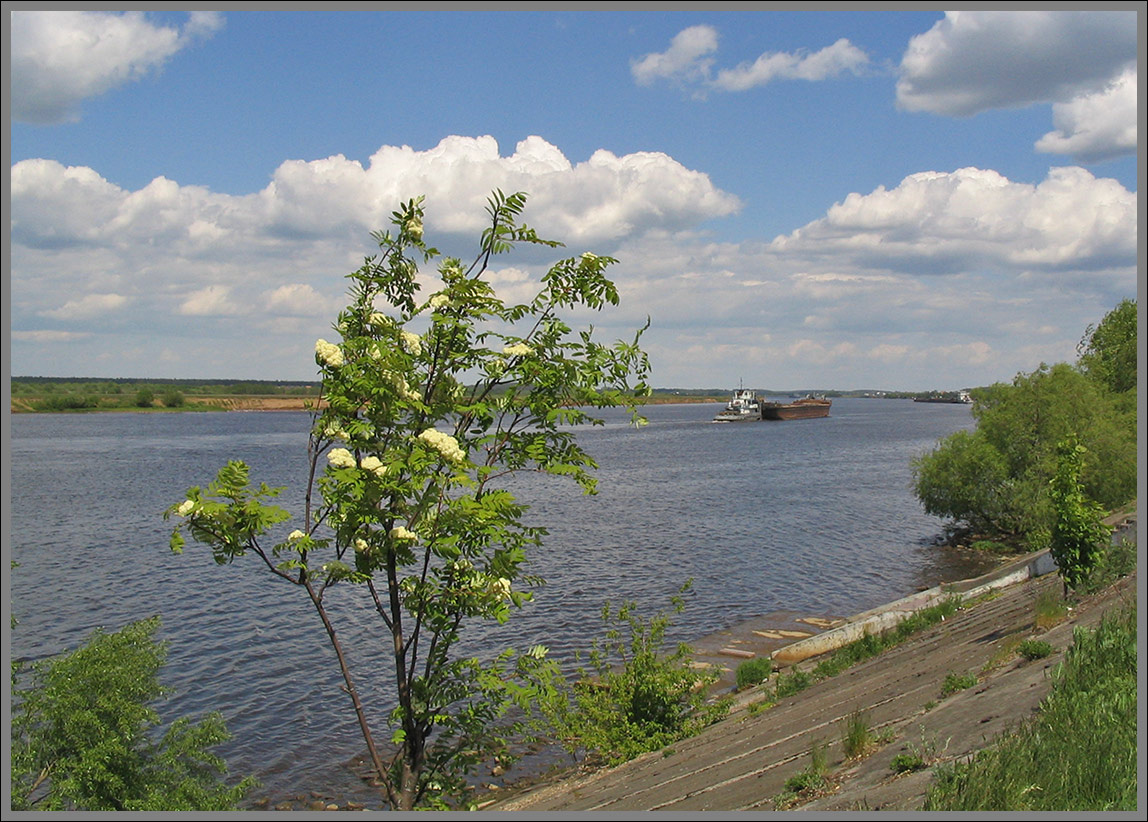 Ветерок. Волга река рябинка ветерок баржа