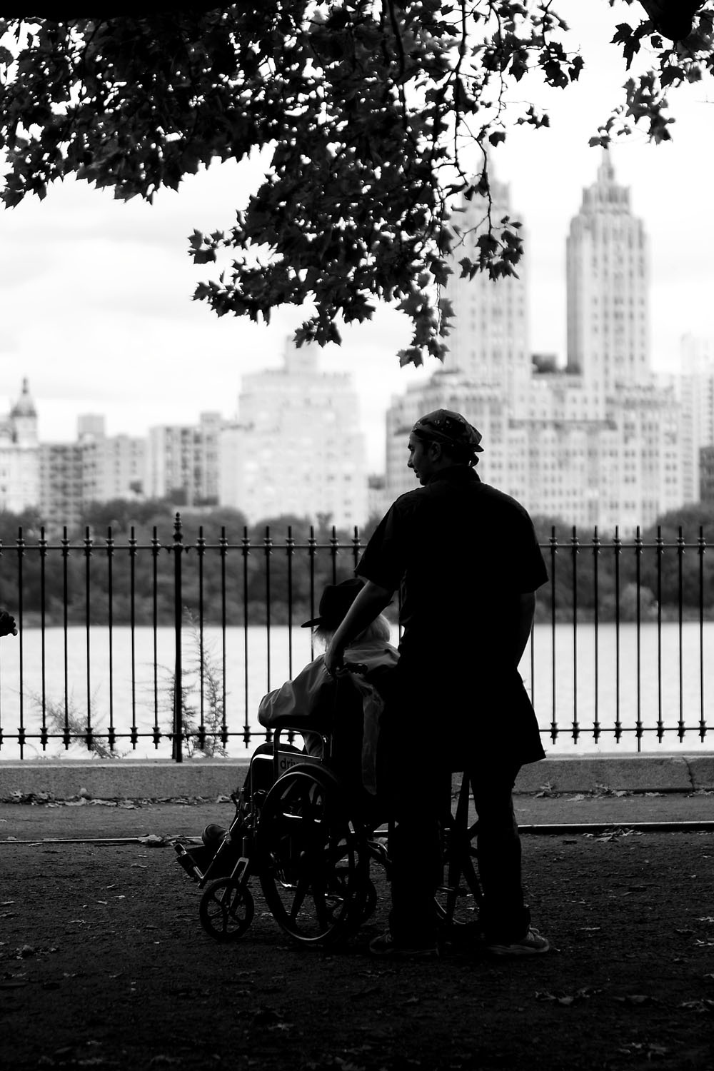 NY story NY