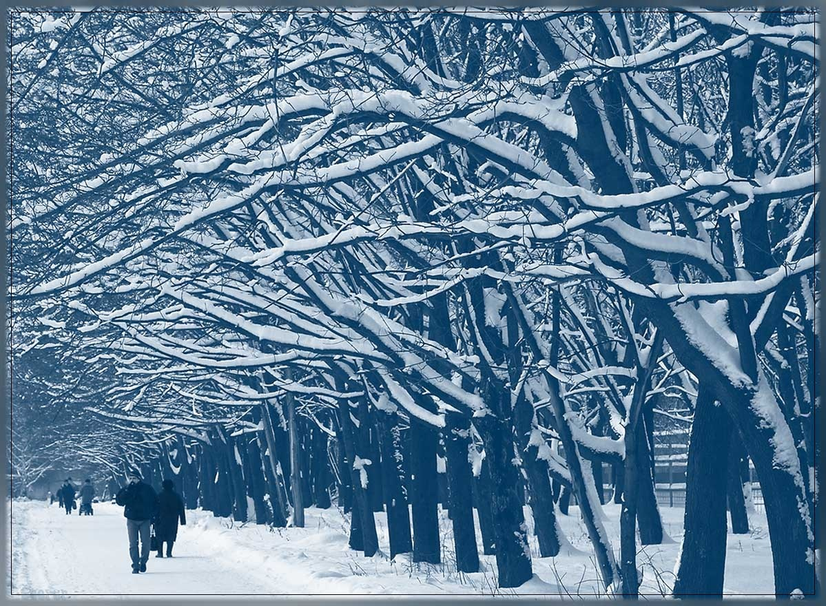 Black&White зима, снег, парк, Муром