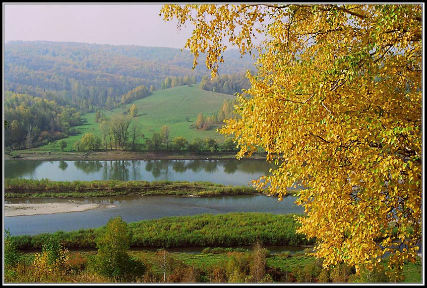 *** осень, река, деревья