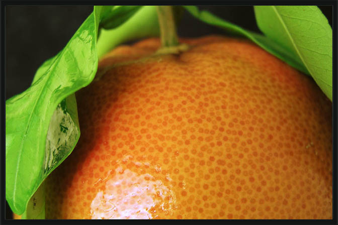 vitamin c цитрус грейпфрукт