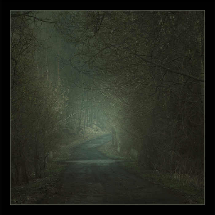road to paradise 