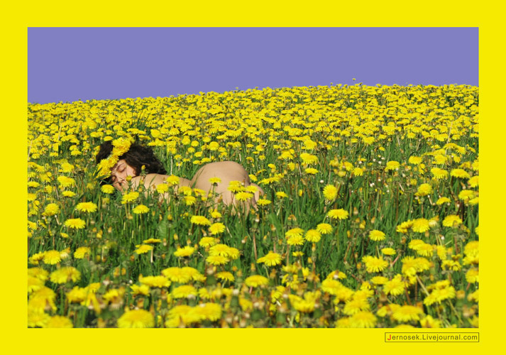 POP art девушка, попа, одуванчики, весна, поле, ню, эротика, небо, зелёный, венок, невинность